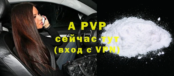 не бодяженный Иннополис