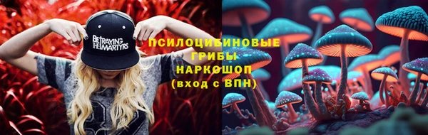 не бодяженный Иннополис
